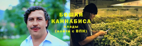 spice Михайлов