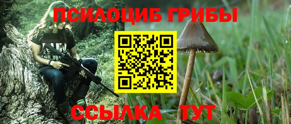 Петропавловск-Камчатский  Псилоцибиновые грибы мухоморы  Галлюциногенные грибы Psilocybe  Вход с VPN 