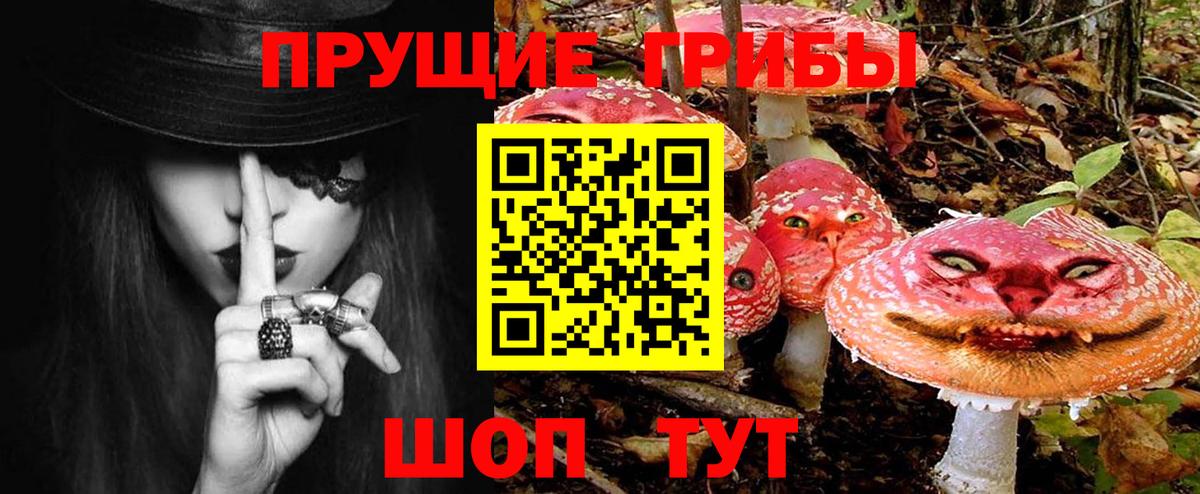 Галлюциногенные грибы Psilocybe Петропавловск-Камчатский