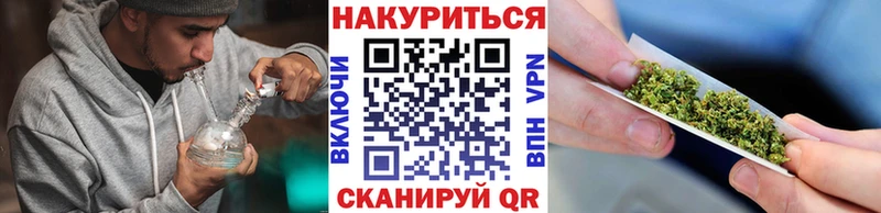 Бошки Шишки план Петропавловск-Камчатский